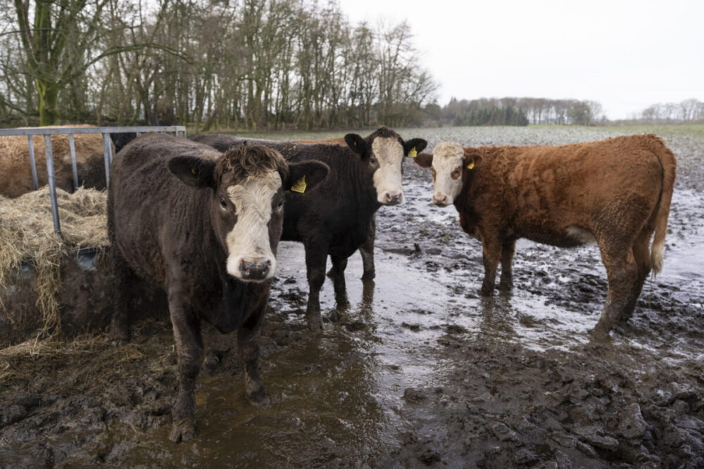 10 Beautiful Wedding Venues in Dumfries & Galloway